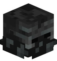 Open Spawn Egg (Wither Skeleton)