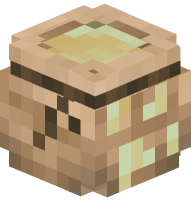 Bag of Pumpkin Seeds