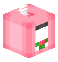 Watermelon Juice Box