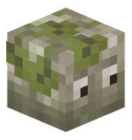 Mossy Rock With Eyes