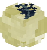 Limestone Fossil (Palm Leaf)