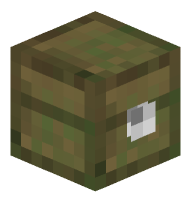 Sealed Rotting Chest