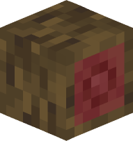 Mangrove Log (sideways)