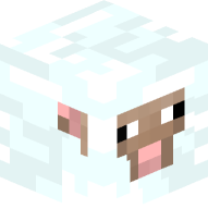 Snow Sheep