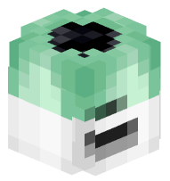 Soylent Bottle (mint chocolate)