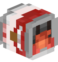 Hermit Crab in a Soup Can