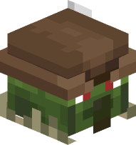 Fletcher Zombie Villager