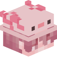 Boy with Axolotl Hat