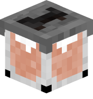 Protein Shake Bottle