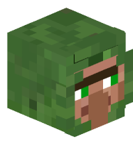 Villager in Zombie Disguise