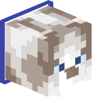 Collared Ragdoll Cat (blue)