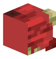 Wybomination (top right front)