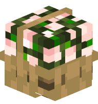 Flower Basket (pink)