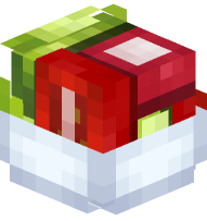 Bowl of Salad, Tomato and Radish