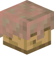 Exposed Copper Helmet