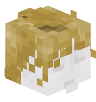 Mannequin with Auburn Wig