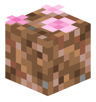 Petals on Rooted Dirt