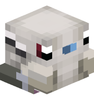 Eurasian Collared Dove Bird