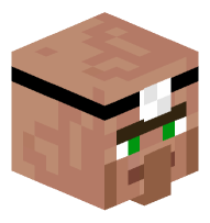 Villager Doctor
