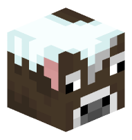 Snowy Cow