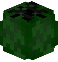 Black Sapote Fruit (Zapote Prieto)