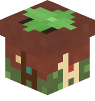 Potted Succulent With Llamas