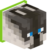 Collared Siamese Cat (lime)