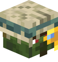 Cartographer Zombie Villager