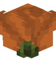 Dusty Dark Orange Rose