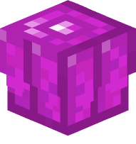Amethyst Jewel