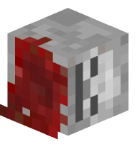 Decapitated Skeleton