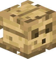 Wood Slime