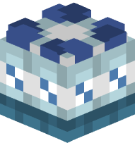 Pack of Water Bottles