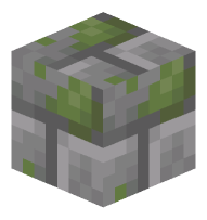 Mossy Stone Bricks