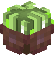 Basket of Sugar Cane