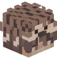 Boy with Hedgehog on Head