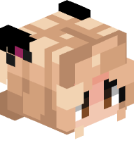 D.va (Black Cat Costume)