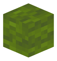 Wool (green)