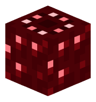 Ancient Debris Block