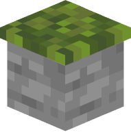 Moss Carpet on Stone