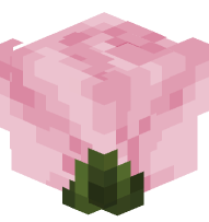 Dusty Light Pink Rose