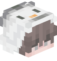 Boy with Snowman Costume