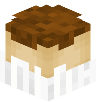 Vanilla Chocolate Cupcake