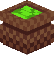 Basket of Green Beans