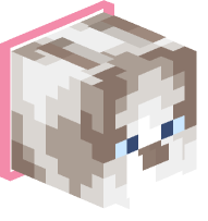 Collared Ragdoll Cat (pink)