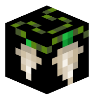 Dull Shark Tooth Necklace