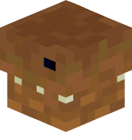 Brown Dragon (snout)