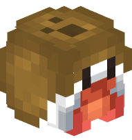 Hermit Crab in a Coconut