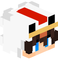 Boy with Chicken Costume