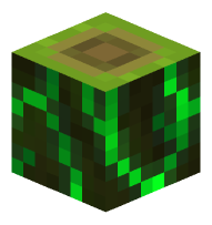 Dragonblood Wood Log